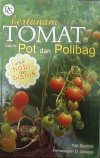 Bertanam Tomat Dalam Pot & Polibag