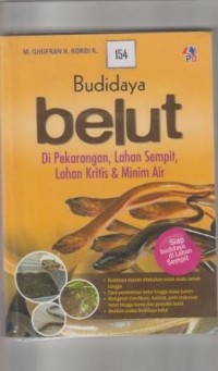 Budidaya Belut