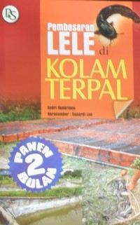 Pembesaran Lele di Kolam Terpal