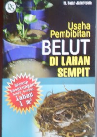 Usaha Pembibitan Belut di Lahan Sempit