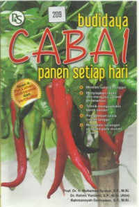 Budidaya cabai, panen seriap hari