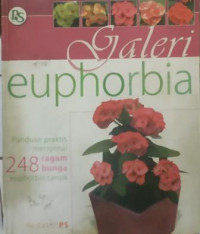 Galeri Euphorbia