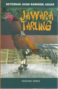 Beternak Ayam Bangkok Aduan Jawara Tarung