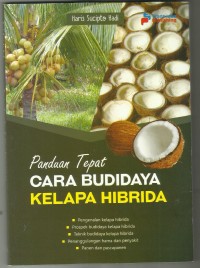 Panduan Tepat Cara Budidaya Kelapa Hibrida
