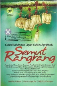 Cara Mudah dan Cepat Sukses Agribisnis Semut Rangrang